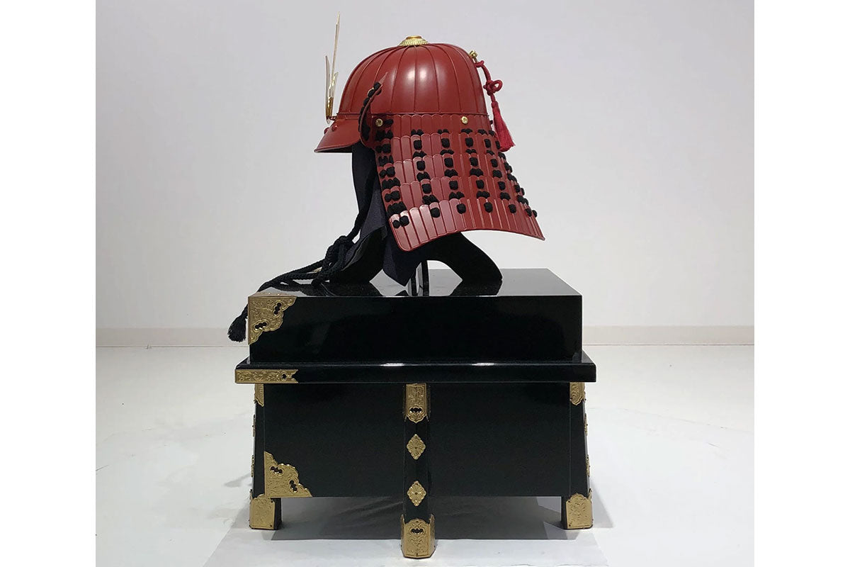 Iyokoshidori Helmet