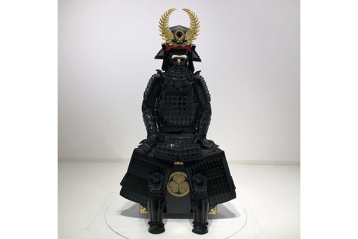 Tokugawa Ieyasu Armor