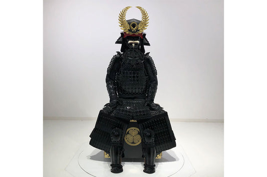 Tokugawa Ieyasu Armor