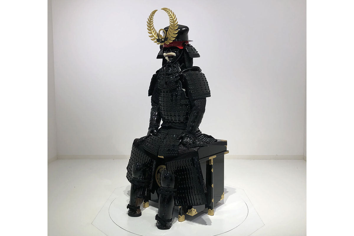 Tokugawa Ieyasu Armor