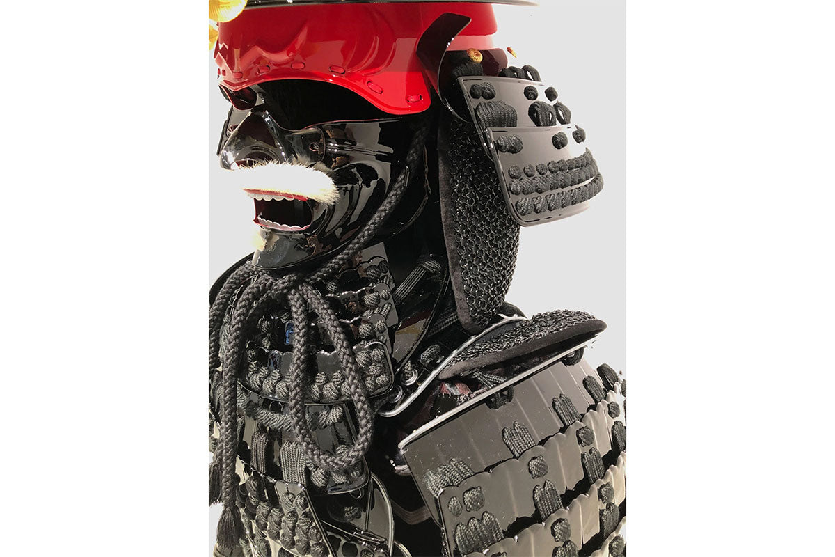 Tokugawa Ieyasu Armor