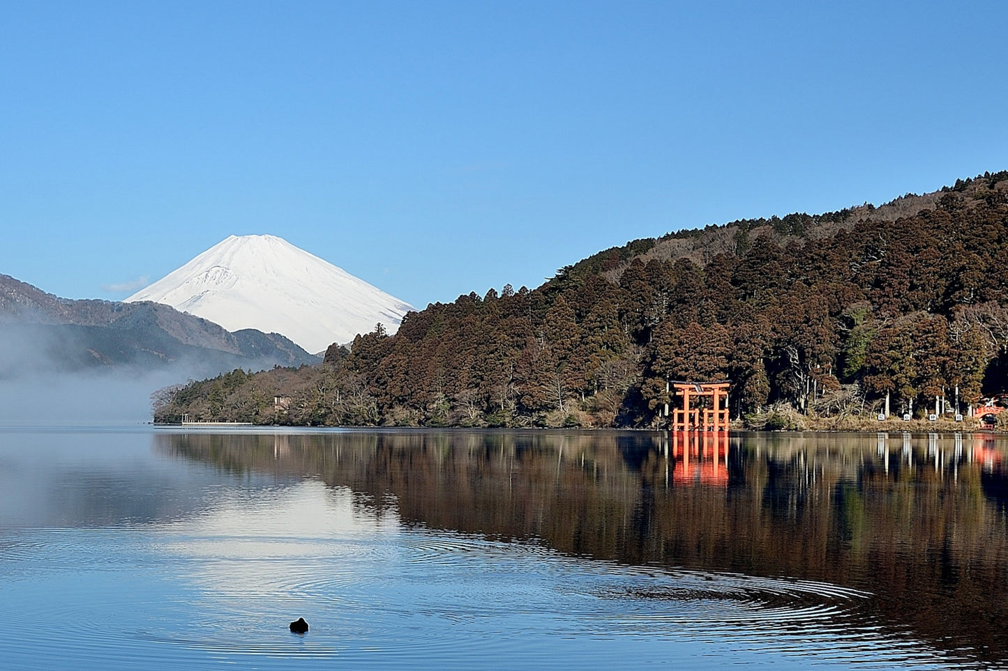 Hakone, Mt.Fuji tour by Helicopter