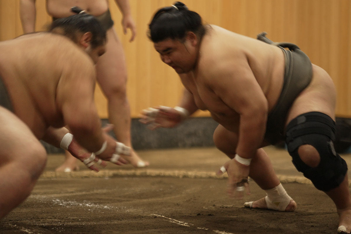 Grand Sumo Tournament Viewing and Bar Hopping Guided Tour in Nagoya