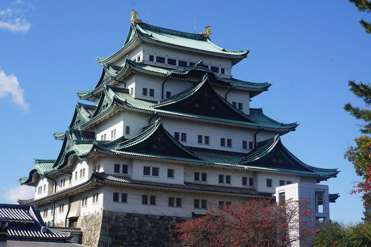 Grand Sumo Tournament Viewing and Bar Hopping Guided Tour in Nagoya