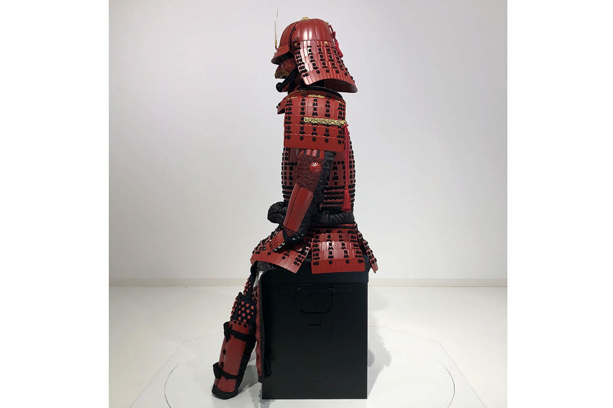 Iyokoshidori Armor