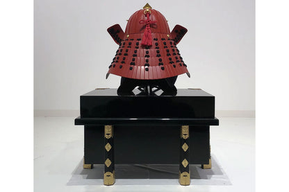 Iyokoshidori Helmet