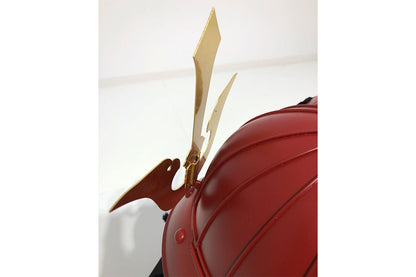 Iyokoshidori Helmet