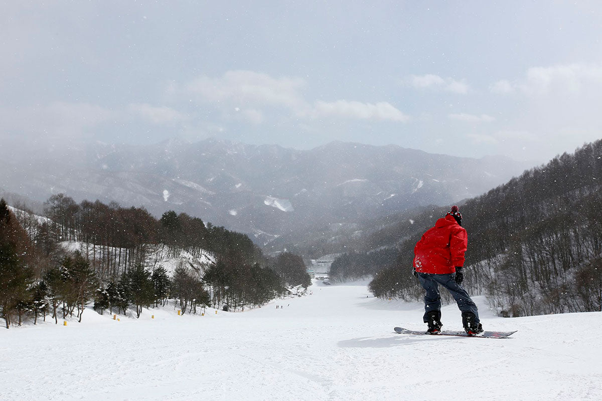 The Ultimate Hakuba Resort Experience with Gastronomic Dining Options