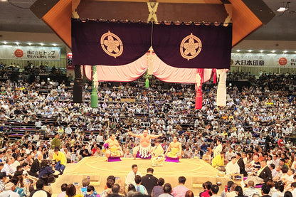 Grand Sumo Tournament Viewing and Bar Hopping Guided Tour in Nagoya