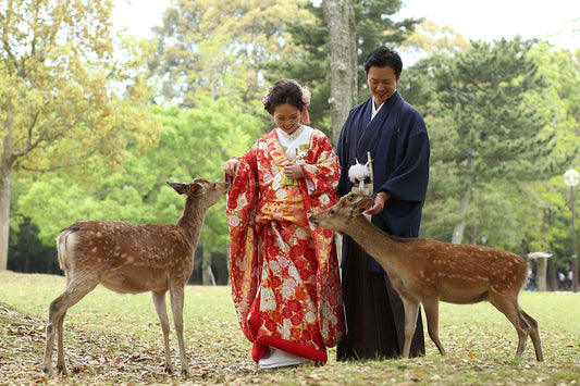 Wedding Photography in Nara