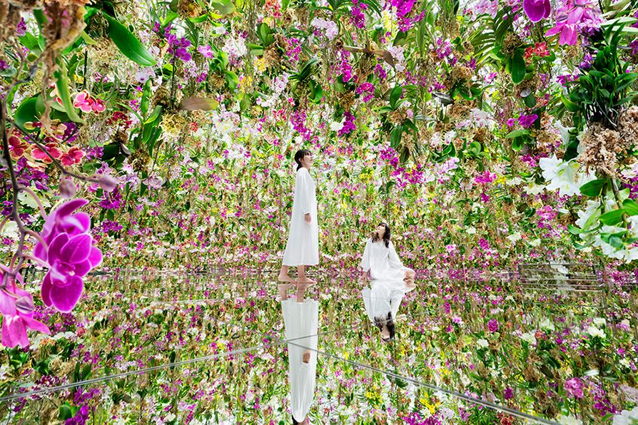 teamLab, Floating Flower Garden: Flowers and I are of the Same Root, the Garden and I are One © teamLab